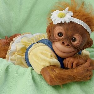 Meet your Posher, Lana